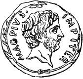 Михаил Ципоруха - Под черным флагом. Хроники пиратства и корсарства