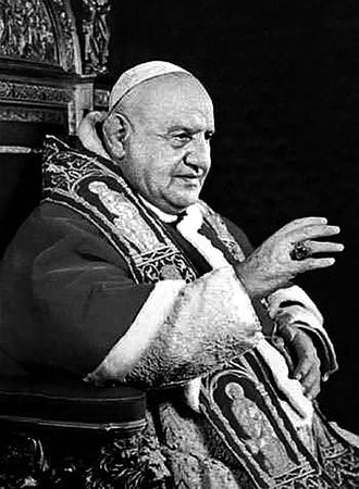 Сборник - Папоротники