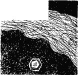 ЛУЧШИЙ ИЗ МИРОВ (Сборник НФ 1964 г.)