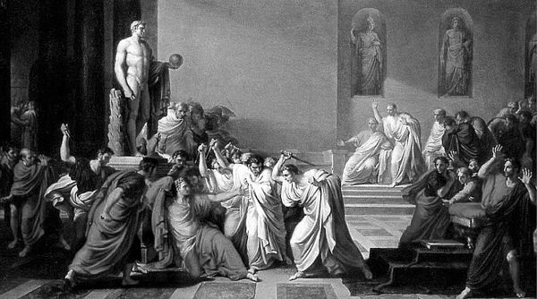 Сборник - Папоротники