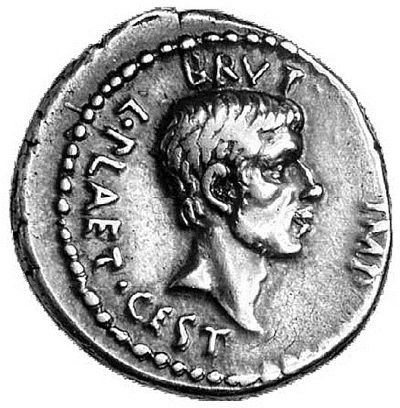 Сборник - Папоротники