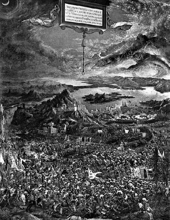 Сборник - Папоротники