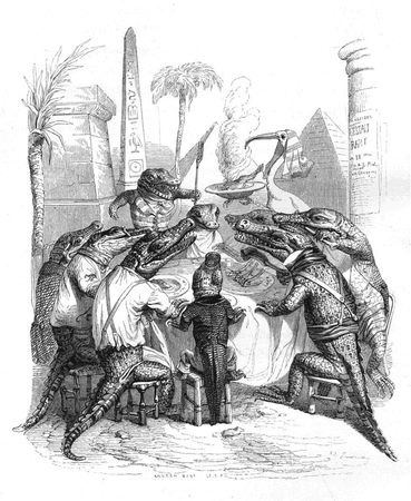 Коллектив авторов - Сцены частной и общественной жизни животных