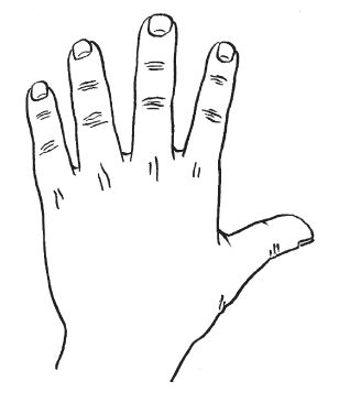 Антонина Соколова - Уроки хиромантии