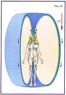 Николай Левашов - Сущность и Разум. Том 1