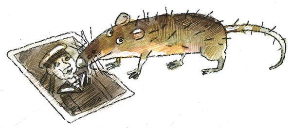 Андрей Красильников - Санитарка