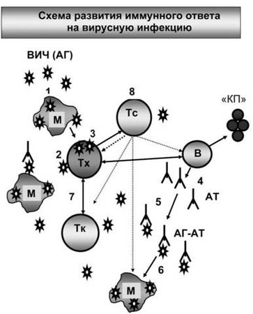 Вячеслав Тарантул - Имя ему СПИД: Четвертый всадник Апокалипсиса
