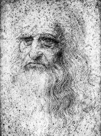 Сборник - Папоротники