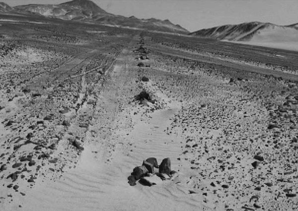 Андрей Скляров - Наска: гигантские рисунки на полях