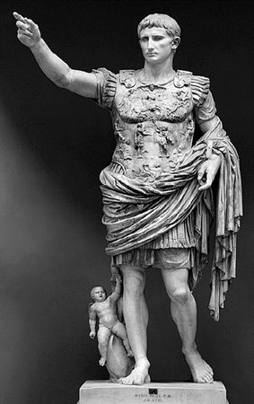 Сборник - Папоротники