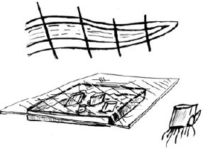 Наталья Логачева, Наталья Шешко - Энциклопедия комнатных растений