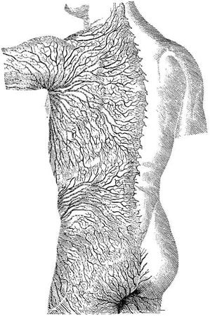 Иван Саркизов-Серазини - Спортивный массаж