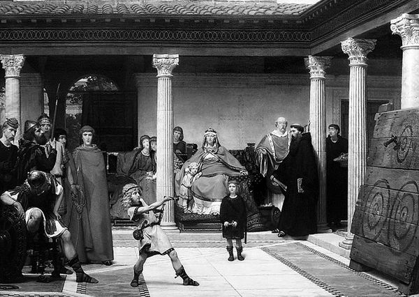 Сборник - Папоротники