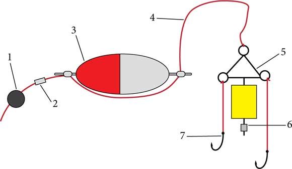 Константин Сторожев - Ловля карпа, леща, толстолобика, белого амура. Секреты и...