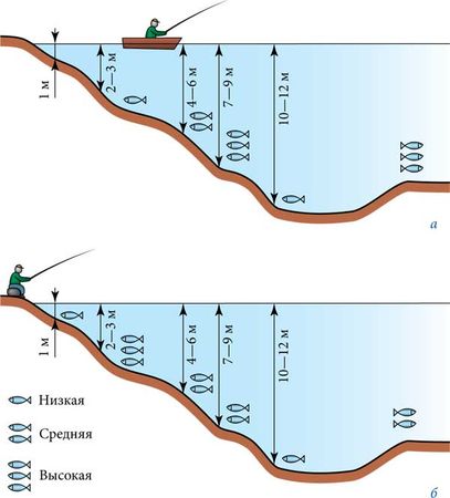 Константин Сторожев - Ловля карпа, леща, толстолобика, белого амура. Секреты и...