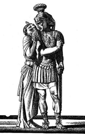 Сборник - Папоротники