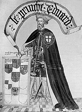 Сборник - Папоротники