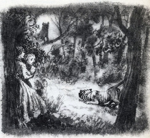 Коллектив авторов - Дикие кошки