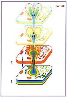 Николай Левашов - Сущность и Разум. Том 1