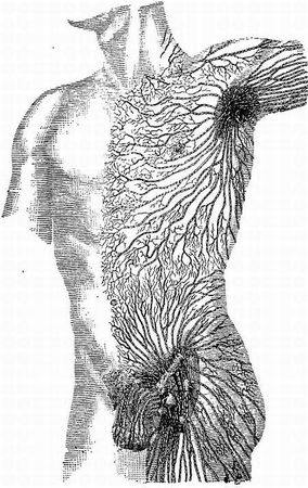 Иван Саркизов-Серазини - Спортивный массаж