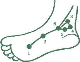 Дина Крупская - Лестница в небо, или Китайская медицина по-русски