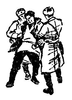 Александр Сердюк - В ловушке