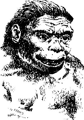 Чарльз Робертс - Каменный век (с иллюстрациями)