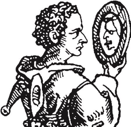 Сборник - Папоротники