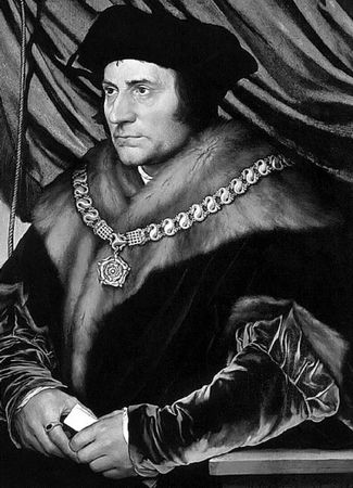 Сборник - Папоротники