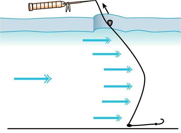 Константин Сторожев - Ловля карпа, леща, толстолобика, белого амура. Секреты и...