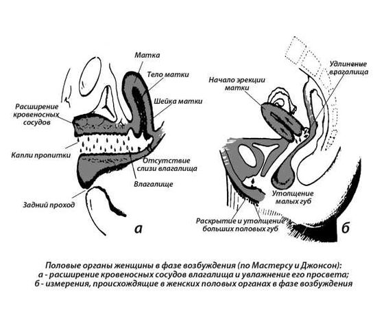 Екатерина Помазанова - 7 минут до оргазма
