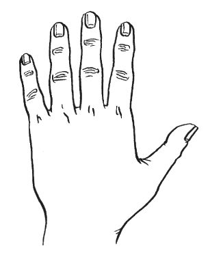 Антонина Соколова - Уроки хиромантии