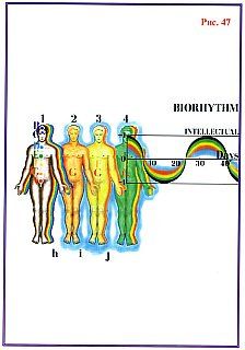 Николай Левашов - Сущность и Разум. Том 1