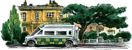 Дик Кинг-Смит - Нос королевы