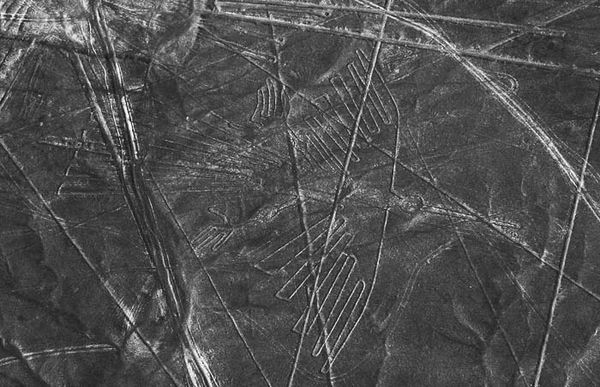 Андрей Скляров - Наска: гигантские рисунки на полях