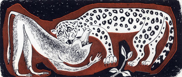 Коллектив авторов - Дикие кошки