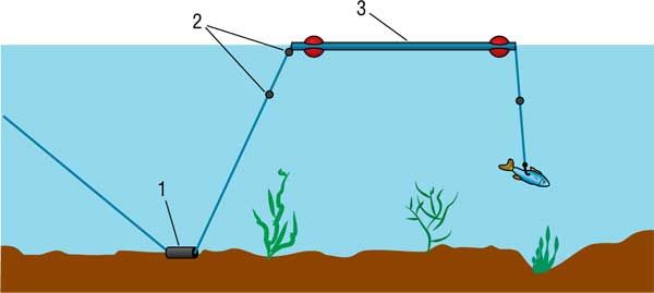 Константин Сторожев - Ловля карпа, леща, толстолобика, белого амура. Секреты и...