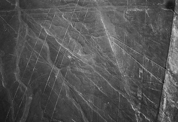 Андрей Скляров - Наска: гигантские рисунки на полях