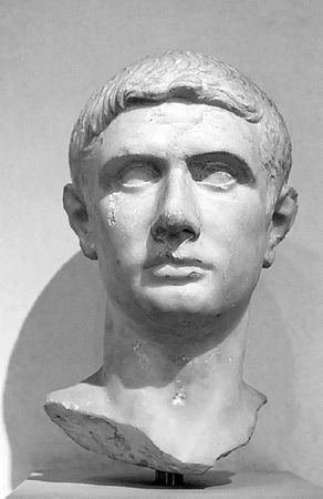 Сборник - Папоротники