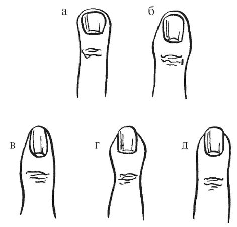 Антонина Соколова - Уроки хиромантии