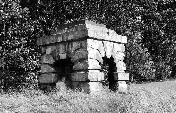 Сборник - Папоротники