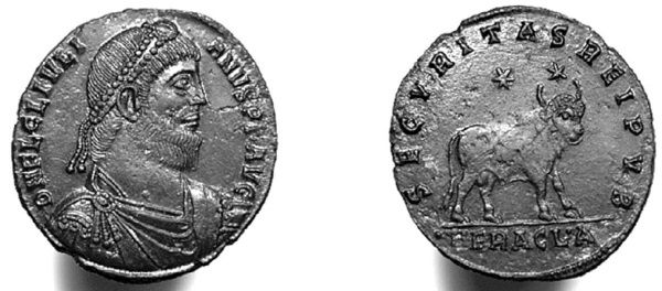 Сборник - Папоротники