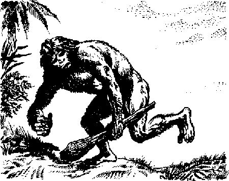 Чарльз Робертс - Каменный век (с иллюстрациями)