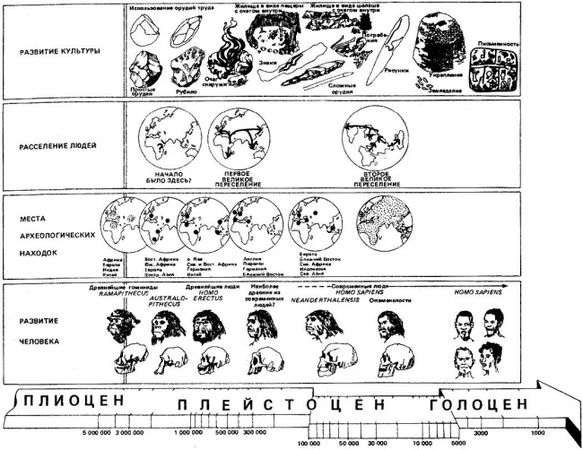 Елена Борзова - Сравнительная культурология. Том 1