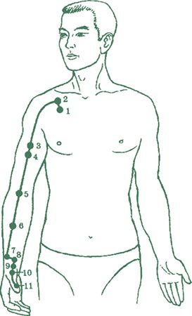 Дина Крупская - Лестница в небо, или Китайская медицина по-русски