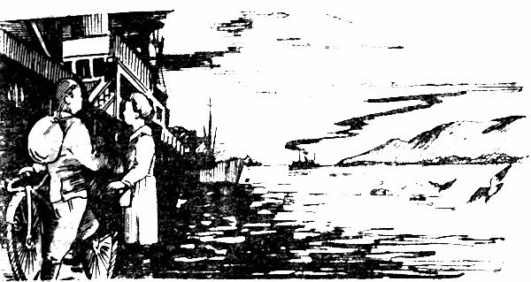 Александр Харитановский - Человек с железным оленем