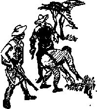 Аркадий Фидлер - Тайна Рио де Оро