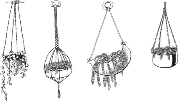 Наталья Логачева, Наталья Шешко - Энциклопедия комнатных растений