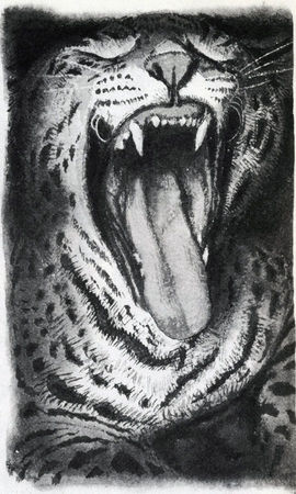 Коллектив авторов - Дикие кошки