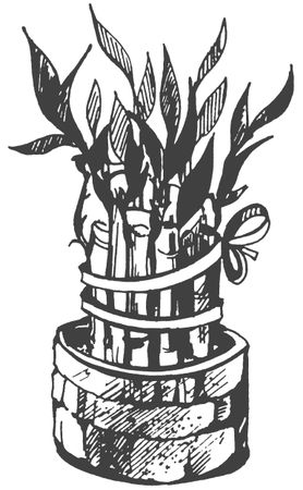 Ольга Романова - Символы для привлечения денег, удачи, счастья, богатства